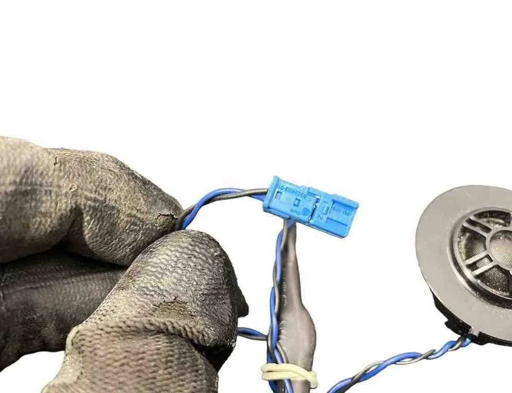 BMW X5 G05/G18 (2018-2024) Forreste venstre dørhøjttaler 6809630 32600939