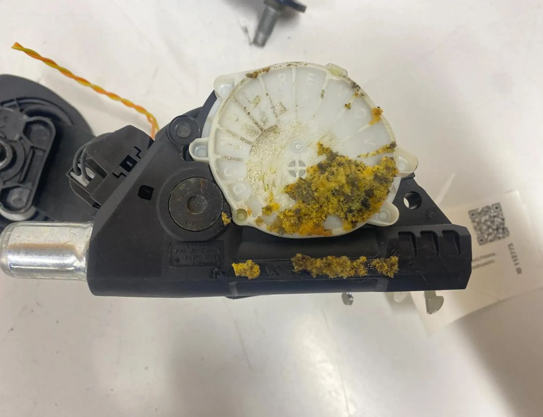 CITROËN C5 2 generation (2008-2017) Forreste højre sikkerhedssele 34032906B 28758529