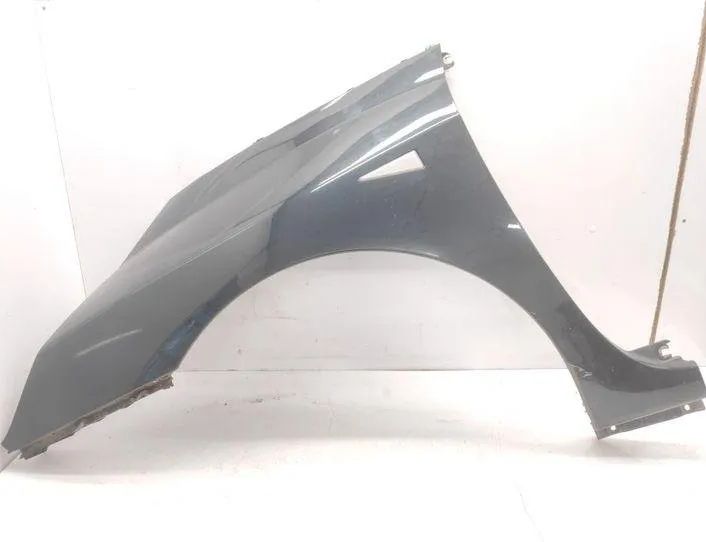 RENAULT Espace 4 generation (2002-2014) Venstre forskærm NV903 20750053