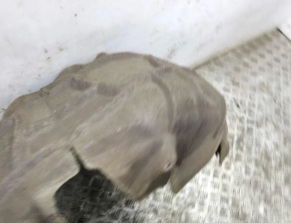 SEAT Leon 4 generation (2020-2023) Bagerste venstre bueforing 31192963