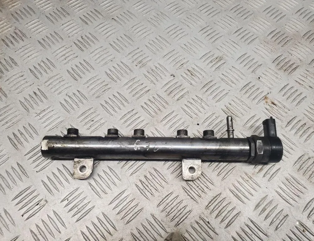 JEEP Grand Cherokee 4 generation (WK) (2004-2024) Brændstofskinne 35022119G 33445901