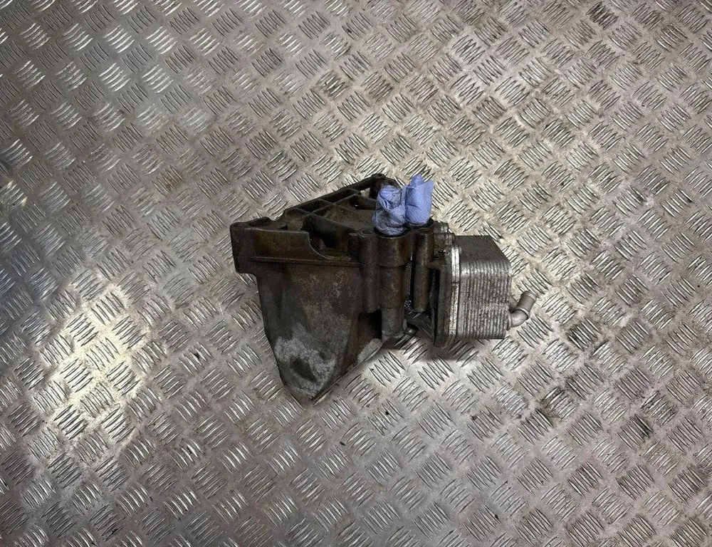 VOLKSWAGEN Touareg 2 generation (2010-2018) Oliekøler 3H117021D 34976857