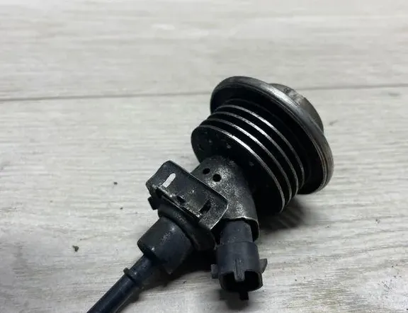 VOLKSWAGEN Sharan 2 generation (2010-2024) AdBlue injektorer 3c0131113c 34980949