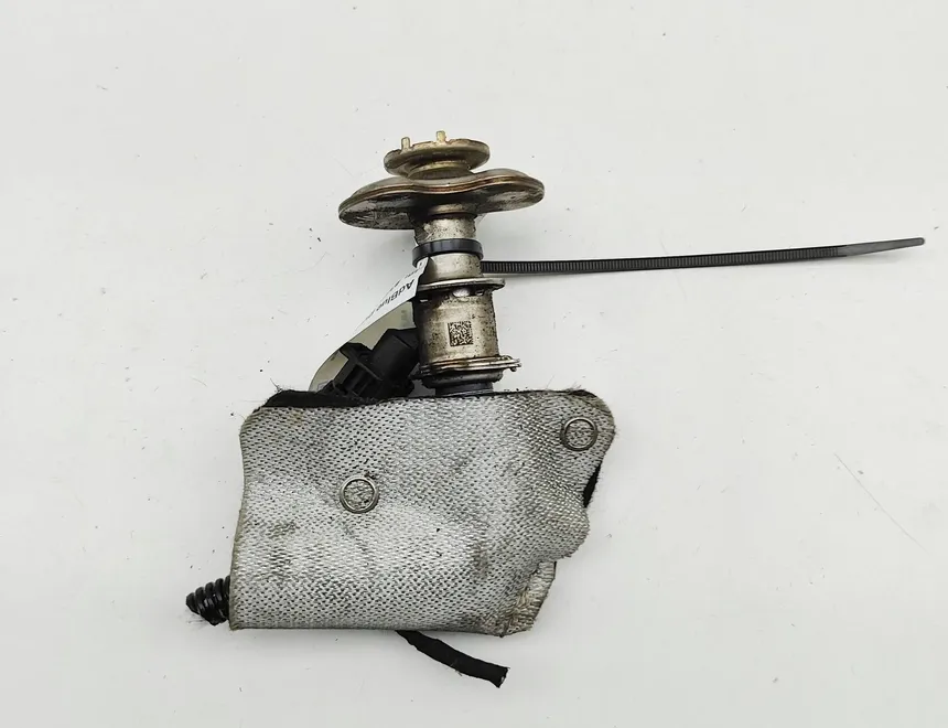 VOLKSWAGEN Multivan T7 (2021-2024) AdBlue injektorer 7LA131113E 34571887