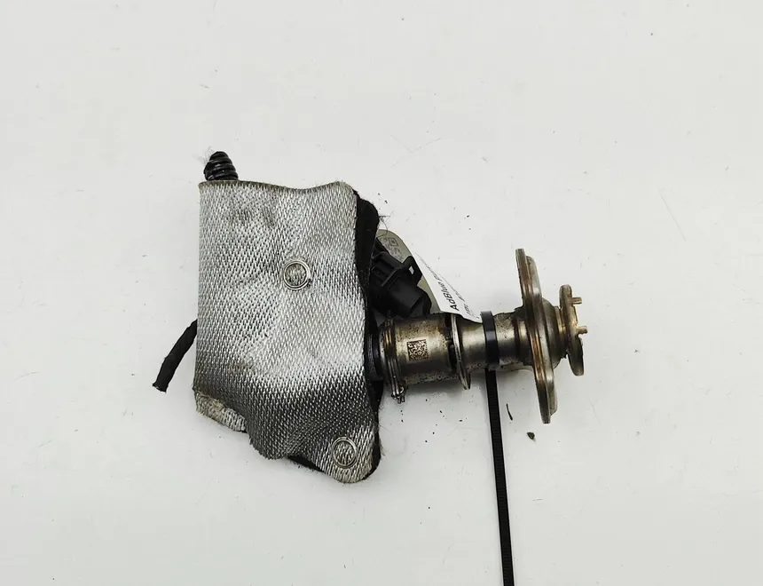 VOLKSWAGEN Multivan T7 (2021-2024) AdBlue injektorer 7LA131113E 34571887