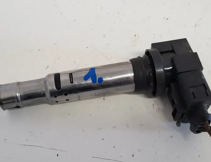 SKODA Fabia 6Y (1999-2007) Højspændings tændspole 0040102030 34806259