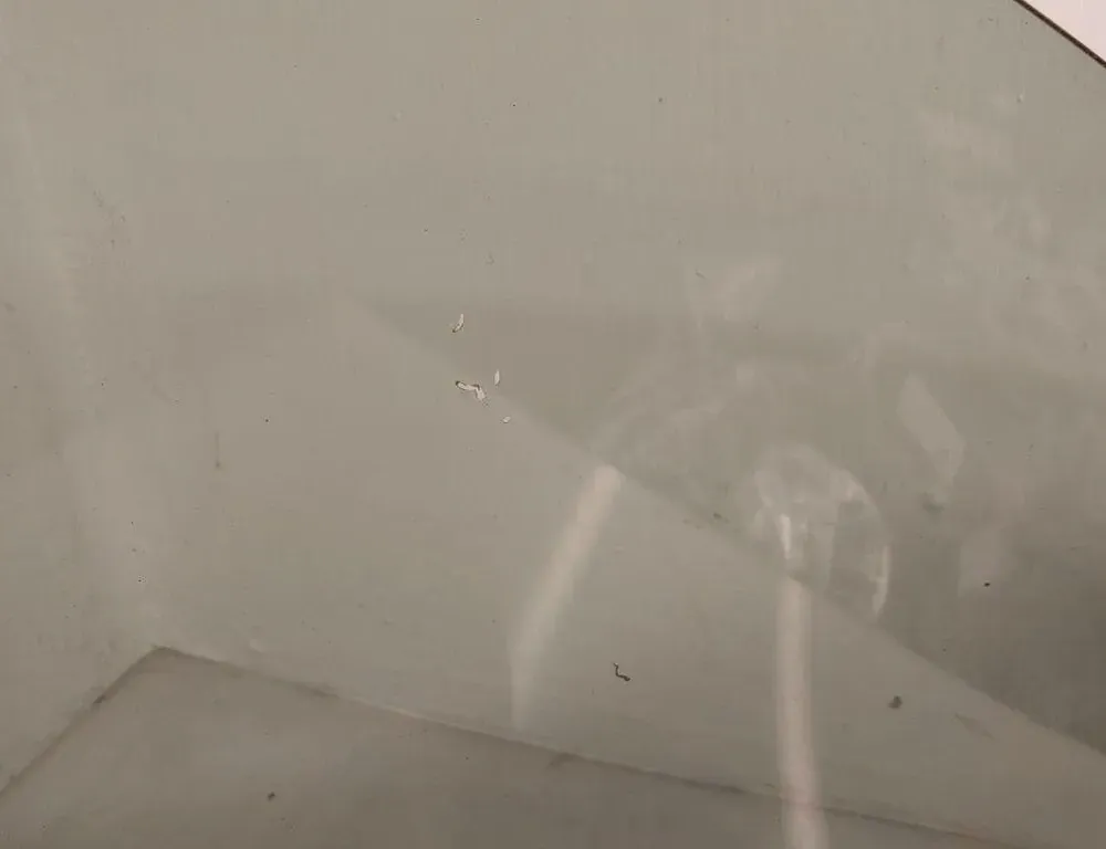 AUDI A6 allroad C7 (2012-2019) Forreste venstre dørglas 4G0845021C 33248552