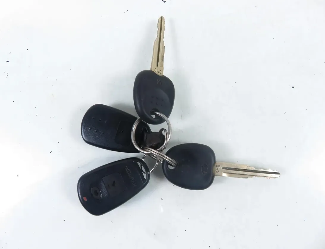 HYUNDAI Santa Fe SM (2000-2013) Tændingslås 33919884