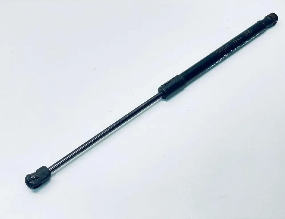 HYUNDAI Santa Fe CM (2006-2013) Forreste højre motorhjelm 811602B010,81160-2B010 30673149