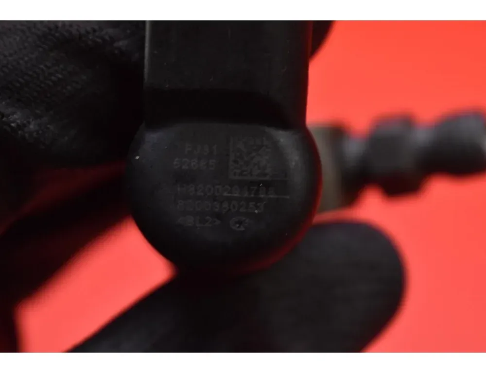 RENAULT Megane 2 generation (2002-2012) Brændstofinjektor H8200294788 33095335