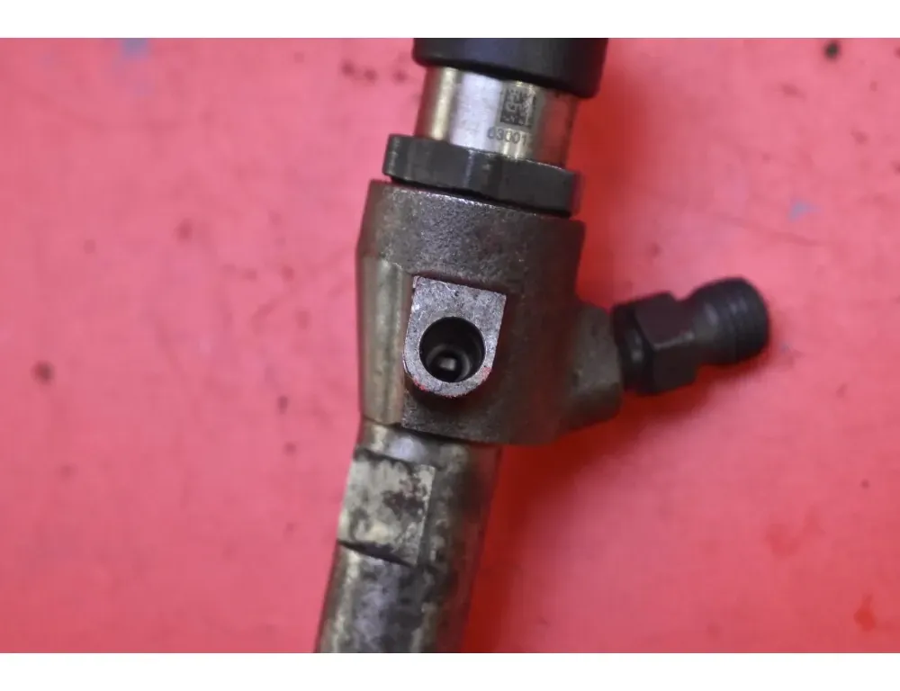 RENAULT Megane 2 generation (2002-2012) Brændstofinjektor H8200294788 33095335