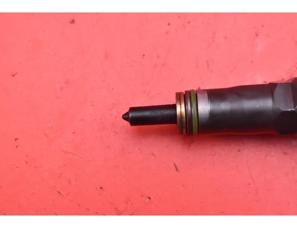 VOLKSWAGEN Golf Plus 1 generation (2004-2009) Brændstofinjektor 038130073AG 33504228