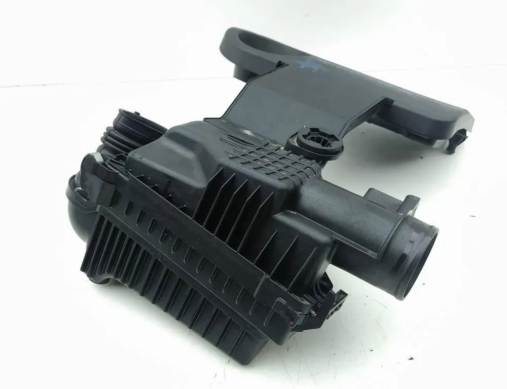 NISSAN Juke 2 generation (2019-2023) Luftfilterboks 165008735R 33335090