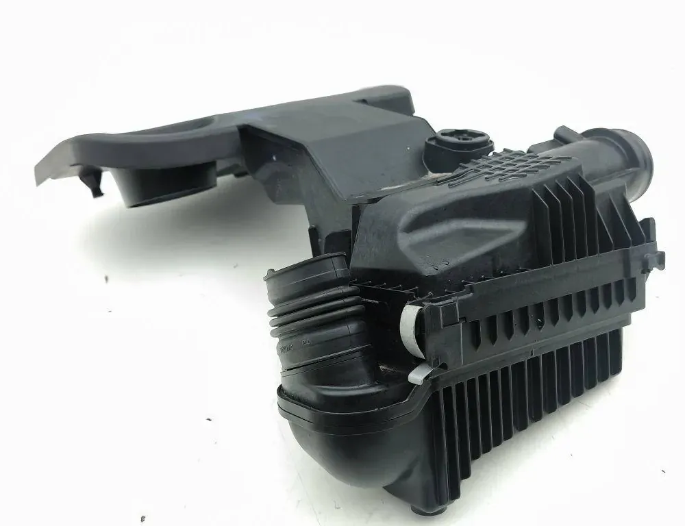 NISSAN Juke 2 generation (2019-2023) Luftfilterboks 165008735R 33335090