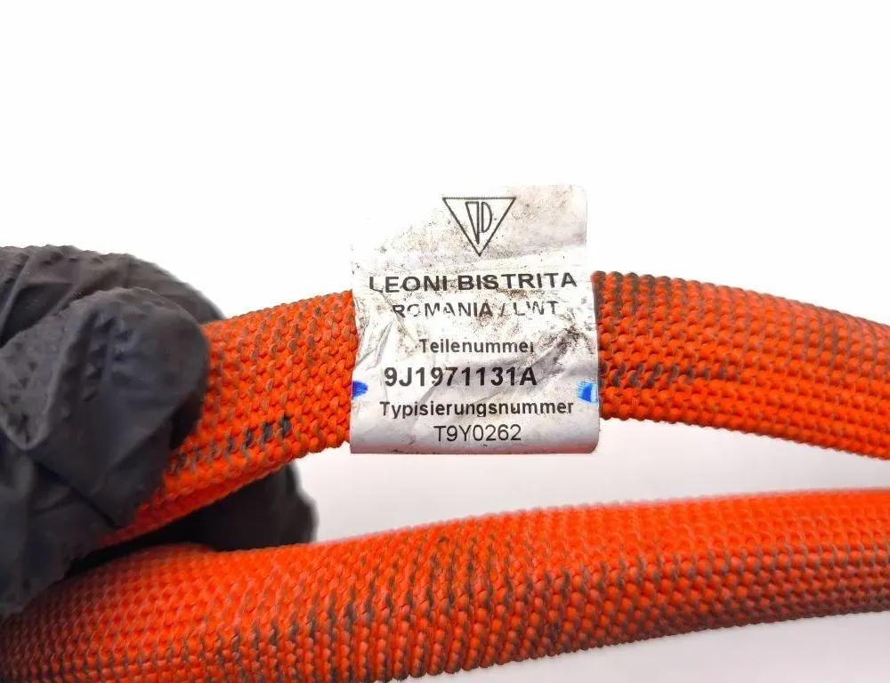 PORSCHE Taycan 1 generation (2019-2023) Højspændingstændingsledning (stikledning) 9J1971131A 34960956