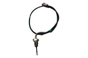 VOLKSWAGEN Tiguan 2 generation (2016-2024) Udstødningsgas temperaturføler 04L906088DN 30149432