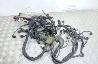 AUDI A6 C6/4F (2004-2011) Motor ledningsnet 07Z906379A 31296972