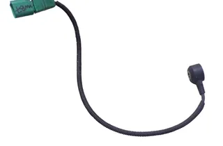 VOLKSWAGEN Passat B7 (2010-2015) Bankesensor 33482143