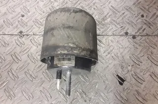 VOLKSWAGEN Phaeton 1 generation (2002-2016) Motorophæng foran 33333356