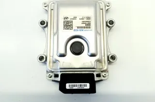 HYUNDAI Santa Fe TM (2018-2024) Andre kontrolenheder 42951-2N070 35105296