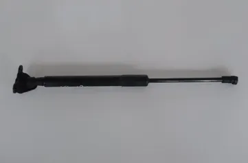 TOYOTA iQ 1 generation (2008-2020) Venstre side bagklap gasfjeder 68960-0W550 1632431