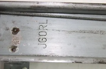 NISSAN X-Trail T31 (2007-2014) Bageste venstre dør rudeløfter 2621004320 33277296