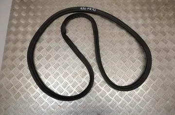 BMW 5 Series G30/G31 (2016-2023) Forreste venstre dørtætning gummi 7337000 33513403