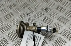 VOLKSWAGEN Caddy 4 generation (2015-2020) AdBlue injektorer 3C0131113C 33367107